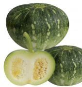 Hybrid Pumpkin Seed