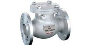 Swing Check Valves