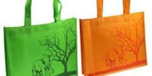 Promotional Non Woven Bags