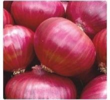 Hybrid Onion Seeds
