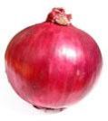 Onion