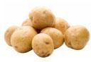 Potato
