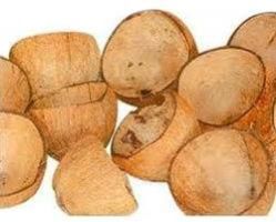 Coconut Shells