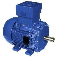 Flame Proof Motors