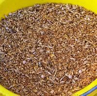 Alpaca Feed
