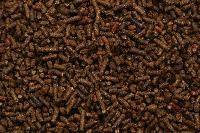 Horses Feed