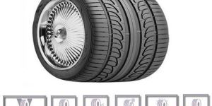 Nexen Car Tyre (N6000)