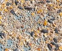 Bird Seeds