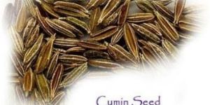 Cumin Seeds