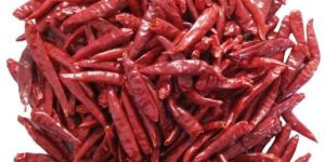 Dry Red Chilli