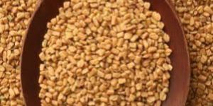 Fenugreek Seeds