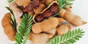 Tamarind