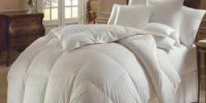 Bed Comforter