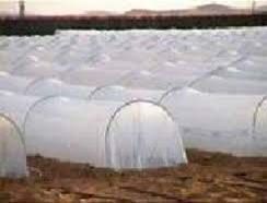 Non Woven Crop Protection Cover