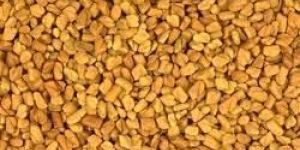 Fenugreek Seeds