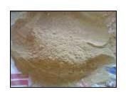 Calcium Bentonite Powder