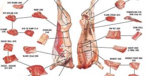 Frozen Boneless Buffalo Meat