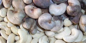 Cashew Nuts