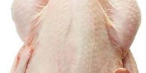 Chicken Whole