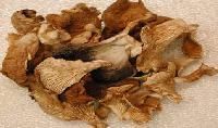 Oyster Dry Mushroom