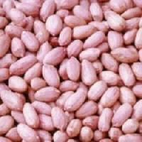 Hps Bold Groundnut Kernels