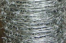 Barbed Wires