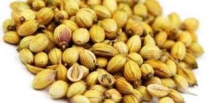 Coriander Seeds