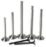 Automobile Valves