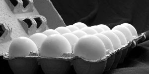 White Table Eggs