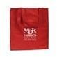 Non Woven Shopping Bags