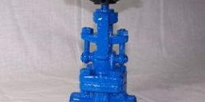 Forged Gate And Globe Valve