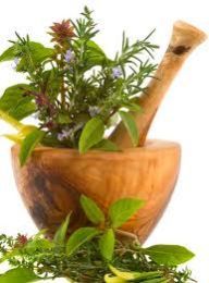 Botanical Herbs