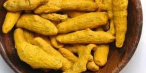 Turmeric Fingers