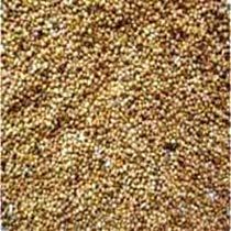 Millet
