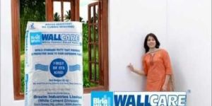 Birla White, Wall Putty