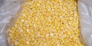 American Sweet Corn