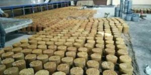 Jaggery Cubes