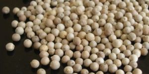 White Pepper, White Pepper Powder