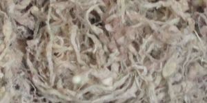 Kibisu Silk