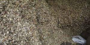 Waste Cocoons