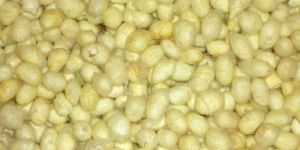 Yellow Cocoons