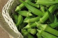Ladyfingers