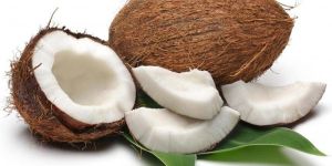 Coconut