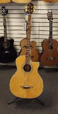 Electric Bass Solid Guitar