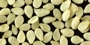 White Sesame Seeds