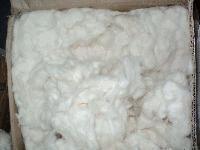 Cotton Comber Waste
