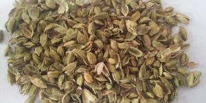 Cardamom Husk