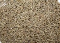 Cumin Seed