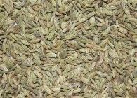 Fennel Seed