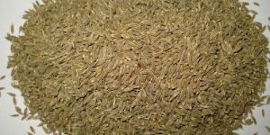 Cumin Seeds
